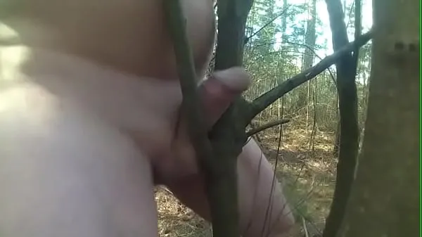 Zobrazit videa z disku Fucking trees 17