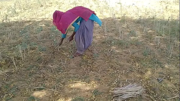 Mostrar O namorado indiano Desi transa com ela enquanto trabalhava no campo vídeos do Drive